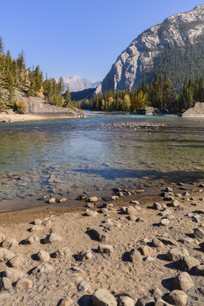 bow river bend shore 2626 Digital Download