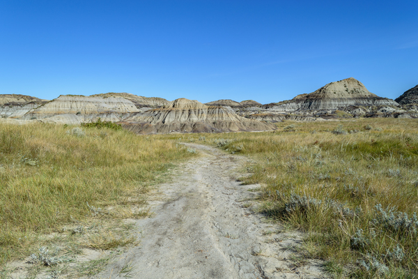horseshoe canyon path 1540 Digital Download
