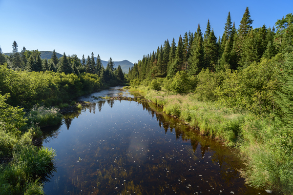 Mount Katahdin campsite Nesowadnehunk river Digital Download