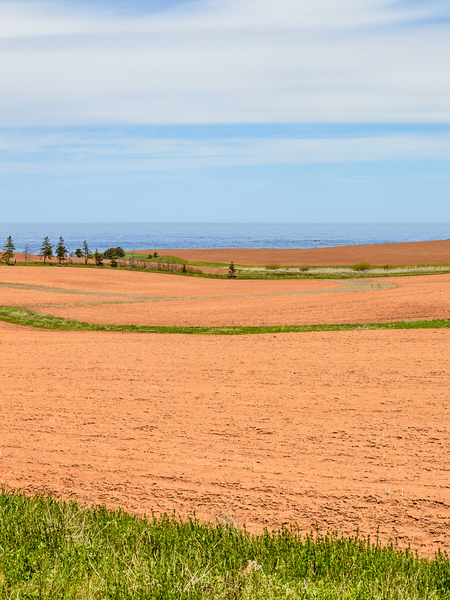 PEI red sand farm fields Digital Download