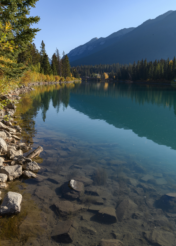 Bow River Banff with mountains 2-2 Digital Download