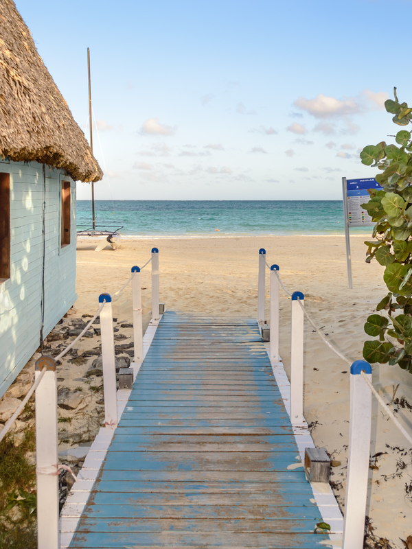 Cuban Beach Arrival path Téléchargement Numérique
