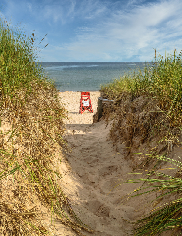 Basin head lifeguard chair PEI Digital Download