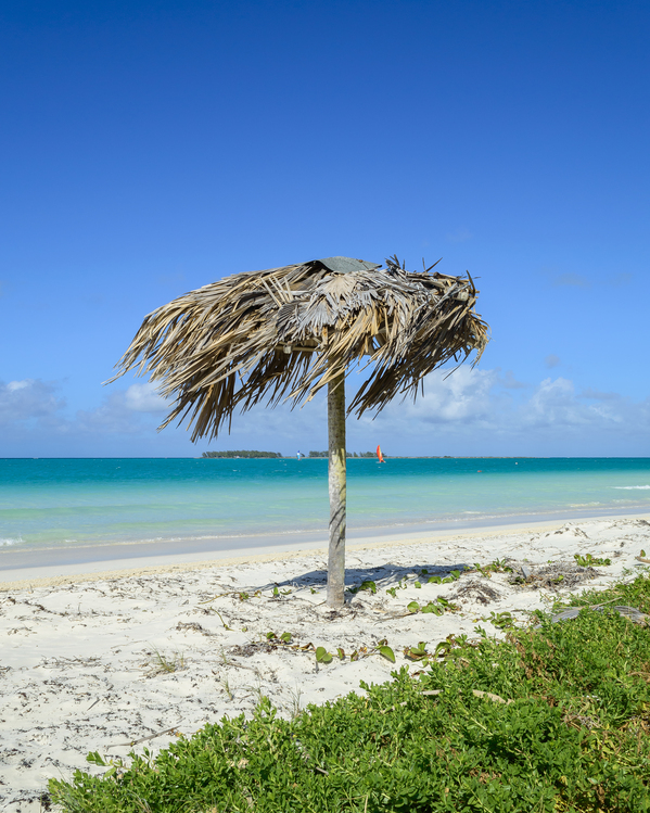 Beach Umbrella cuban Digital Download