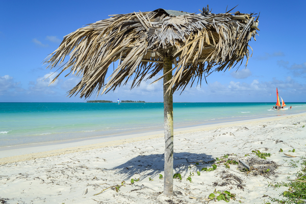 Beach umbrella cuban 2 Digital Download