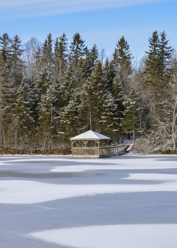 Bird sanctuary pond winter Digital Download