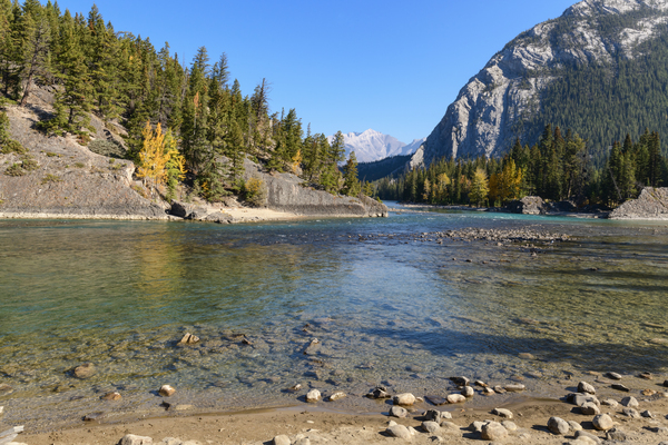 Banff Bow River shore and mountains Digital Download