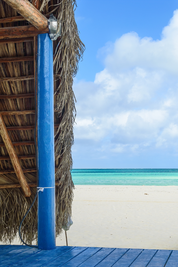 Deck with an awesome tropical view Digital Download