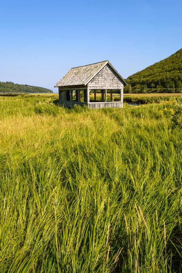 Cape Breton Valley Ingonish Digital Download