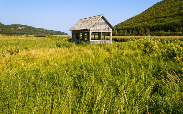 Cape Breton valley 2 Digital Download