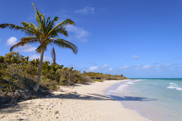 Cayo Coco Cuba beach Digital Download