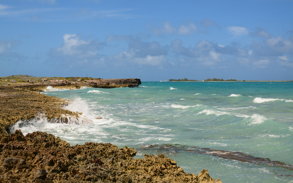 Cuban coral shore ocean view Digital Download