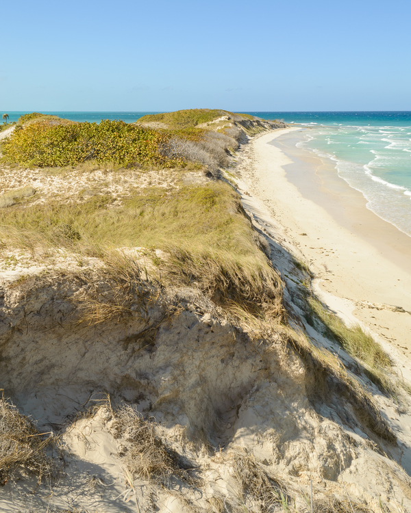 Cayo Coco Cuban Dune Digital Download