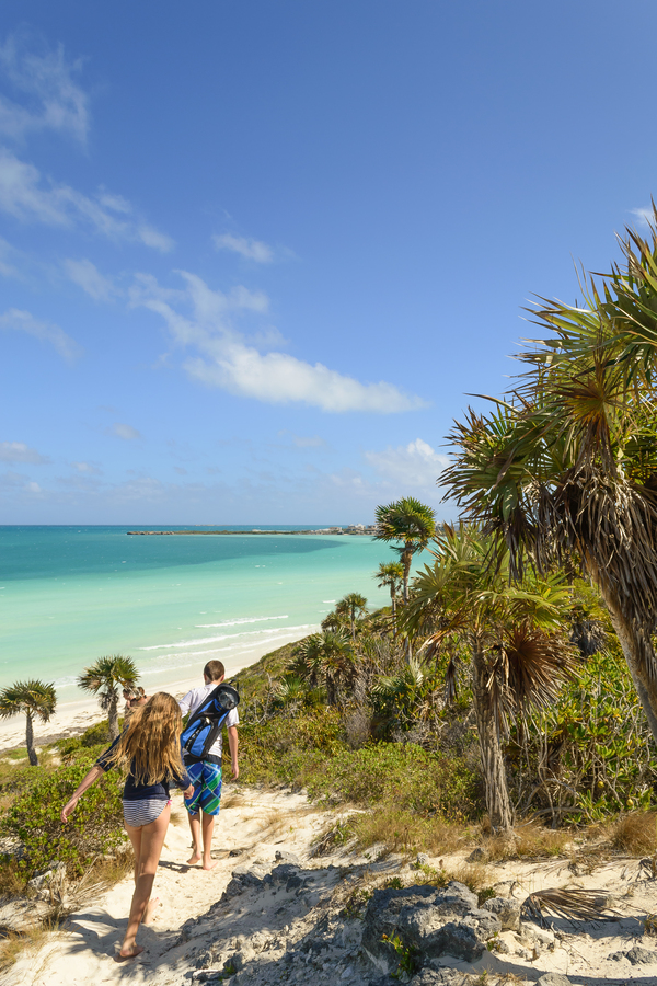 sand dune walk next to aqua ocean Digital Download
