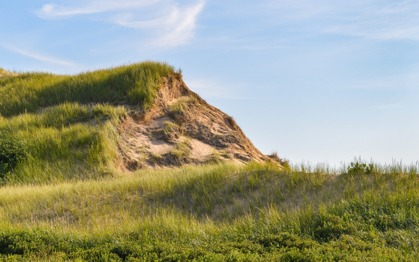 Greenwich grass dune on sky background Digital Download