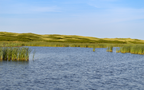 Greenwich grass dune on sky background Digital Download