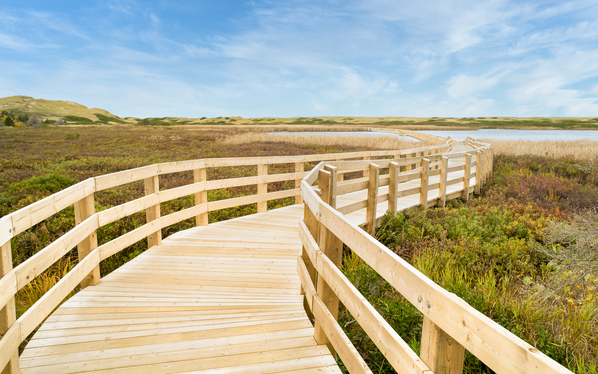 Greenwich boardwalk trail Digital Download