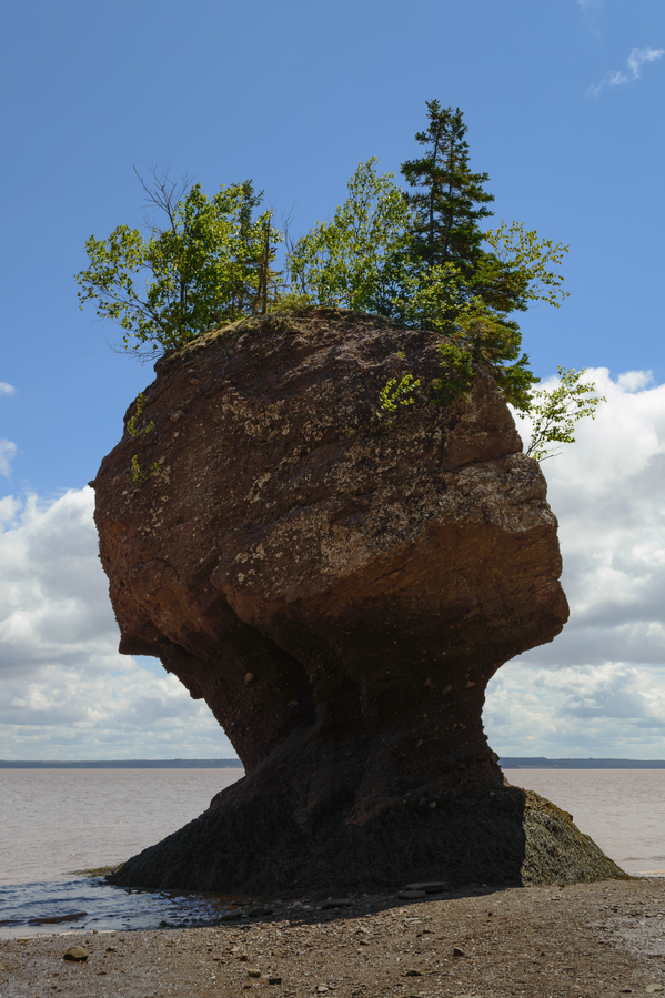 Hopewell Rock head silhouette Digital Download