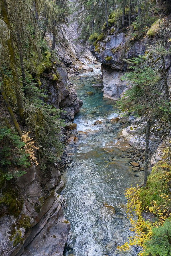 Johnston Canyon river Digital Download