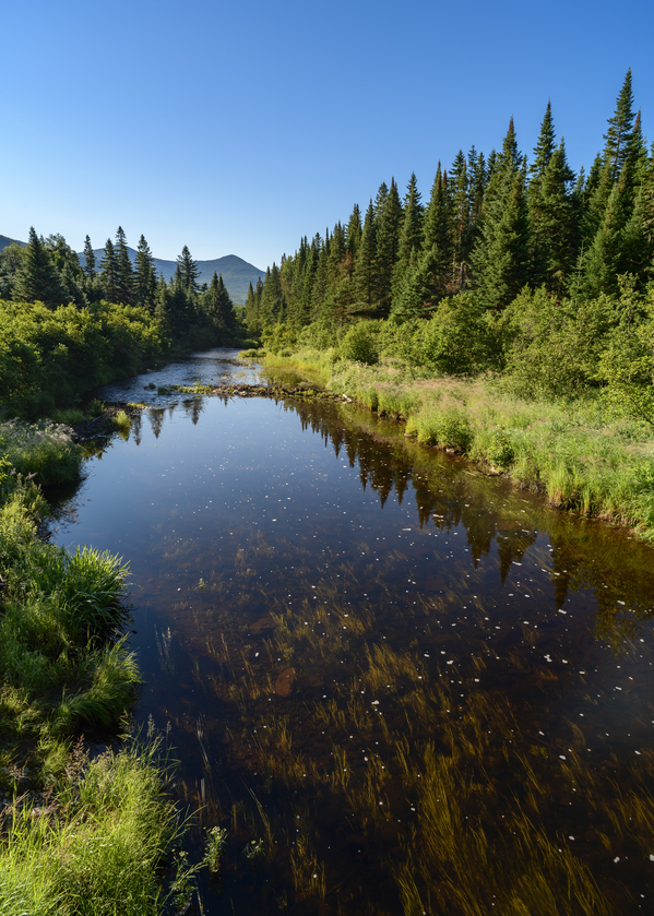 Mount Katahdin campsite Nesowadnehunk river 2 Digital Download