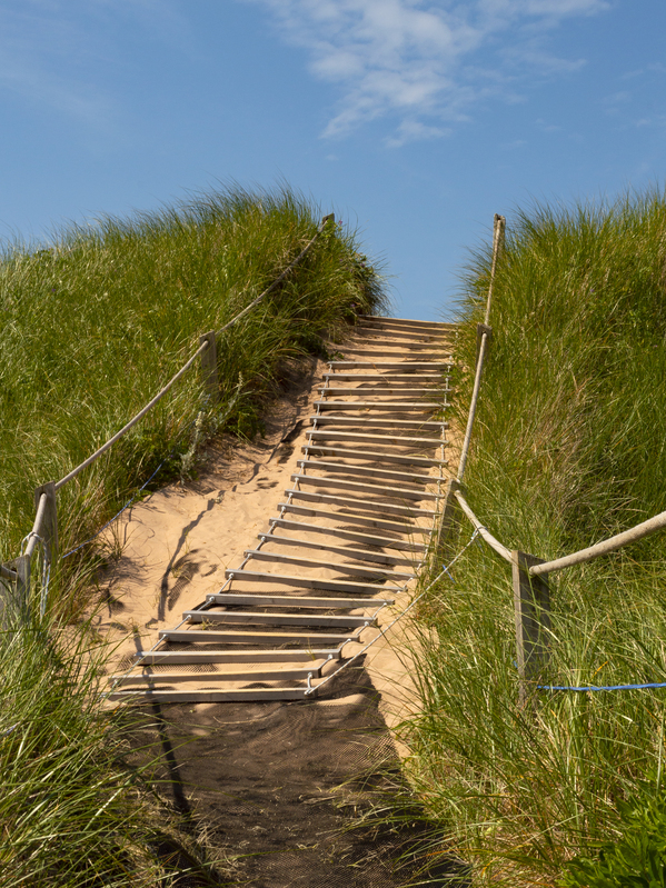 Pathway over the dunes to the beach. Digital Download