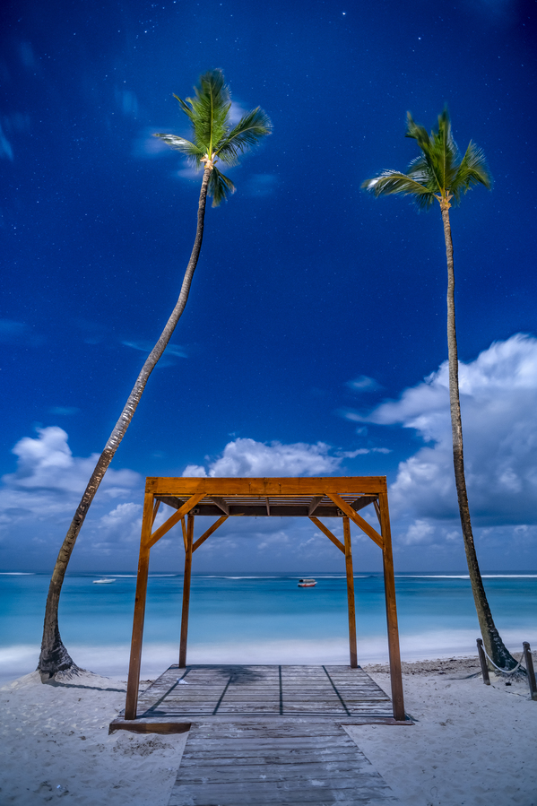 palmtrees beach night Digital Download