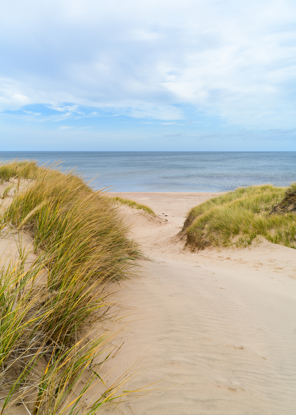 PEI sand dune beach view Digital Download