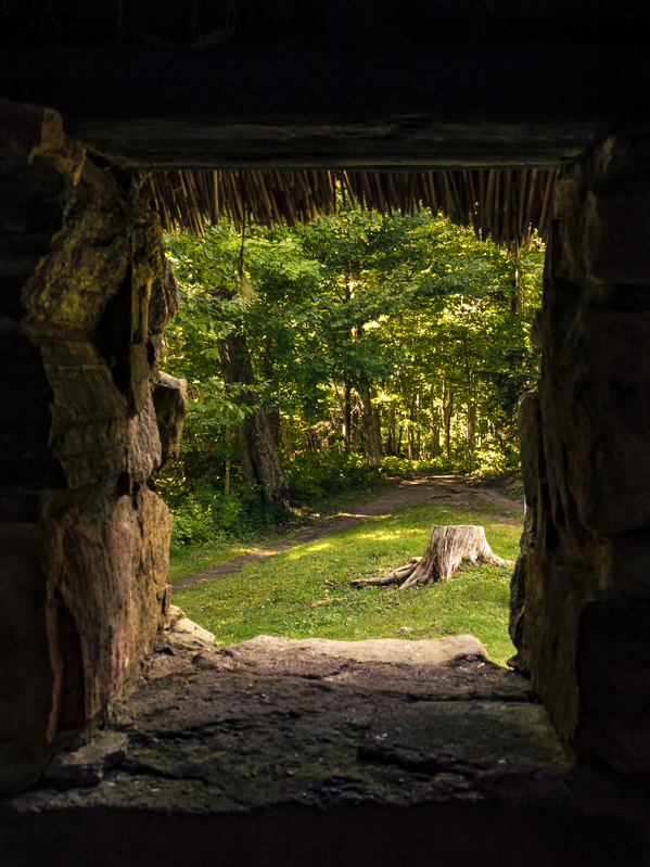 Cuban Pelican flying with blue sky Digital Download