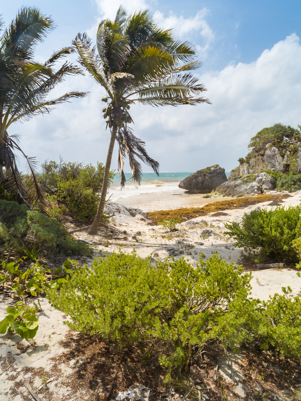 Tulum beach ocean view 4 Digital Download