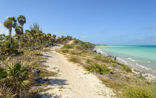 Walk on Cuban Dunes Ocean Digital Download