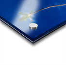 palmtrees beach night Acrylic print