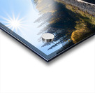 Banff train tracks with sun mountains 3 Impression Acrylique