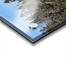 Bird sanctuary pond winter Acrylic print