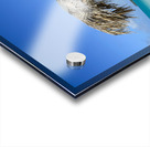 Beach Umbrella cuban Acrylic print