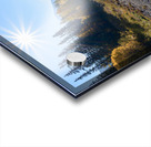 Banff Train tracks with sun 2 Acrylic print