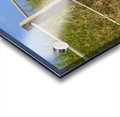 Path Almost at the beach Acrylic print