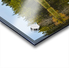 Bird sanctuary pond reflection Acrylic print