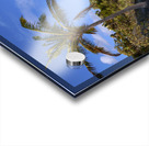 Cayo Coco Cuba beach Acrylic print