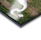 Great white Heron in Cuba Impression Acrylique