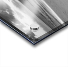 driftwood sunset bw Acrylic print