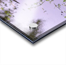 dominican black & white herring Acrylic print