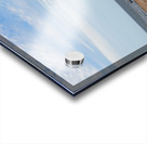 Greenwich Driftwood art 2 Acrylic print