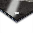 Gecko Anole on boardwalk in BW Acrylic print