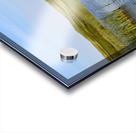 Greenwich grass dune on sky background Acrylic print