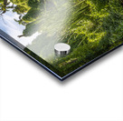 Ducks in a jungle pond Acrylic print