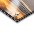 Caribbean driftwood sunset Acrylic print