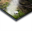 jungle tree waterfall 2 Impression Acrylique