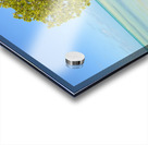 Mangrove on Cuban beach 2 Impression Acrylique