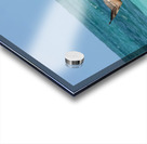 Pelican Cuban 4 Cuba Acrylic print