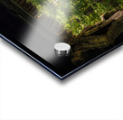 Cuban Pelican flying with blue sky Acrylic print